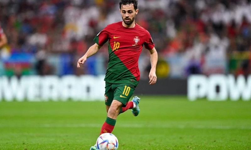 Biografia e carreira do jogador Silva de Portugal